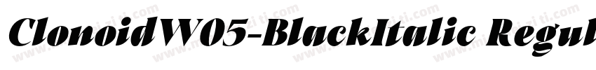 ClonoidW05-BlackItalic Regular字体转换